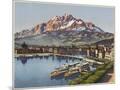 Wood Mount