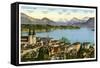 Lucerne and the Alps, Switzerland, 20th Century-null-Framed Stretched Canvas