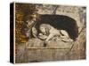 Lucerne: the Lion Sculpture-null-Stretched Canvas