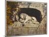 Lucerne: the Lion Sculpture-null-Mounted Premium Photographic Print
