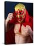 Luchador Portrait-sumnersgraphicsinc-Stretched Canvas