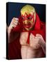 Luchador Portrait-sumnersgraphicsinc-Stretched Canvas