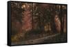 Luci Nel Bosco-Guido Borelli-Framed Stretched Canvas