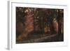 Luci Nel Bosco-Guido Borelli-Framed Giclee Print