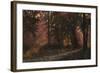 Luci Nel Bosco-Guido Borelli-Framed Giclee Print