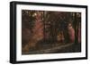 Luci Nel Bosco-Guido Borelli-Framed Giclee Print