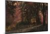 Luci Nel Bosco-Guido Borelli-Mounted Giclee Print