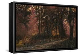 Luci Nel Bosco-Guido Borelli-Framed Stretched Canvas