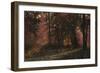 Luci Nel Bosco-Guido Borelli-Framed Premium Giclee Print