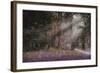 Luci-Guido Borelli-Framed Premium Giclee Print