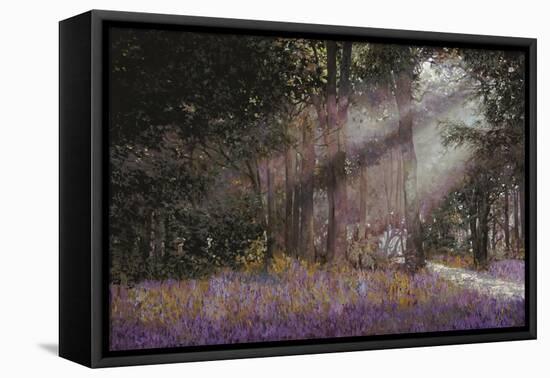 Luci-Guido Borelli-Framed Stretched Canvas