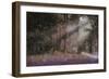 Luci-Guido Borelli-Framed Giclee Print