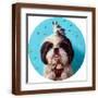 Brown Frame