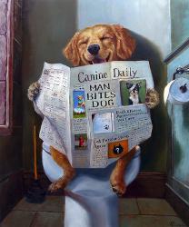 affordable dog posters for sale at allposters com