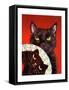 Framed Canvas
