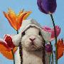 Just the Print
