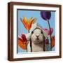 Brown Frame