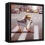 Canvas Black