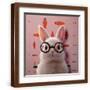 Brown Frame