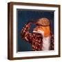 Brown Frame