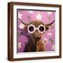 Brown Frame