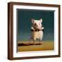 Brown Frame