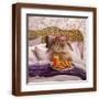 Brown Frame