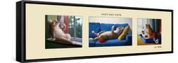 Framed Canvas