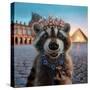 Stretched Canvas