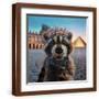 Brown Frame