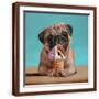 Chelsea Espresso