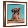 Brown Frame