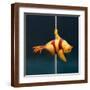 Brown Frame