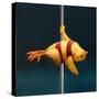 Stretched Canvas