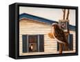 Canvas Black