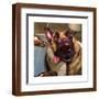 Brown Frame