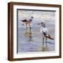 Brown Frame