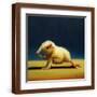 Brown Frame