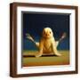 Brown Frame