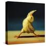 Stretched Canvas