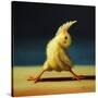 Stretched Canvas