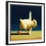 Chelsea Black