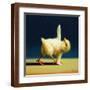 Brown Frame