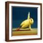 Brown Frame