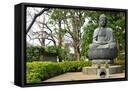 Framed Canvas