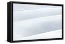 Framed Canvas