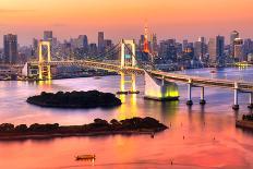 Tokyo Skyline with Tokyo Tower and Rainbow Bridge. Tokyo, Japan.-Luciano Mortula - LGM-Framed Photographic Print