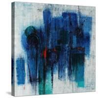 Lucid Dreamer-Joshua Schicker-Stretched Canvas