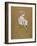 Lucie Bellanger, circa 1895-1896-Henri de Toulouse-Lautrec-Framed Giclee Print