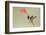 Lucifer Hummingbird, Calothorax Lucifer, feeding-Larry Ditto-Framed Photographic Print